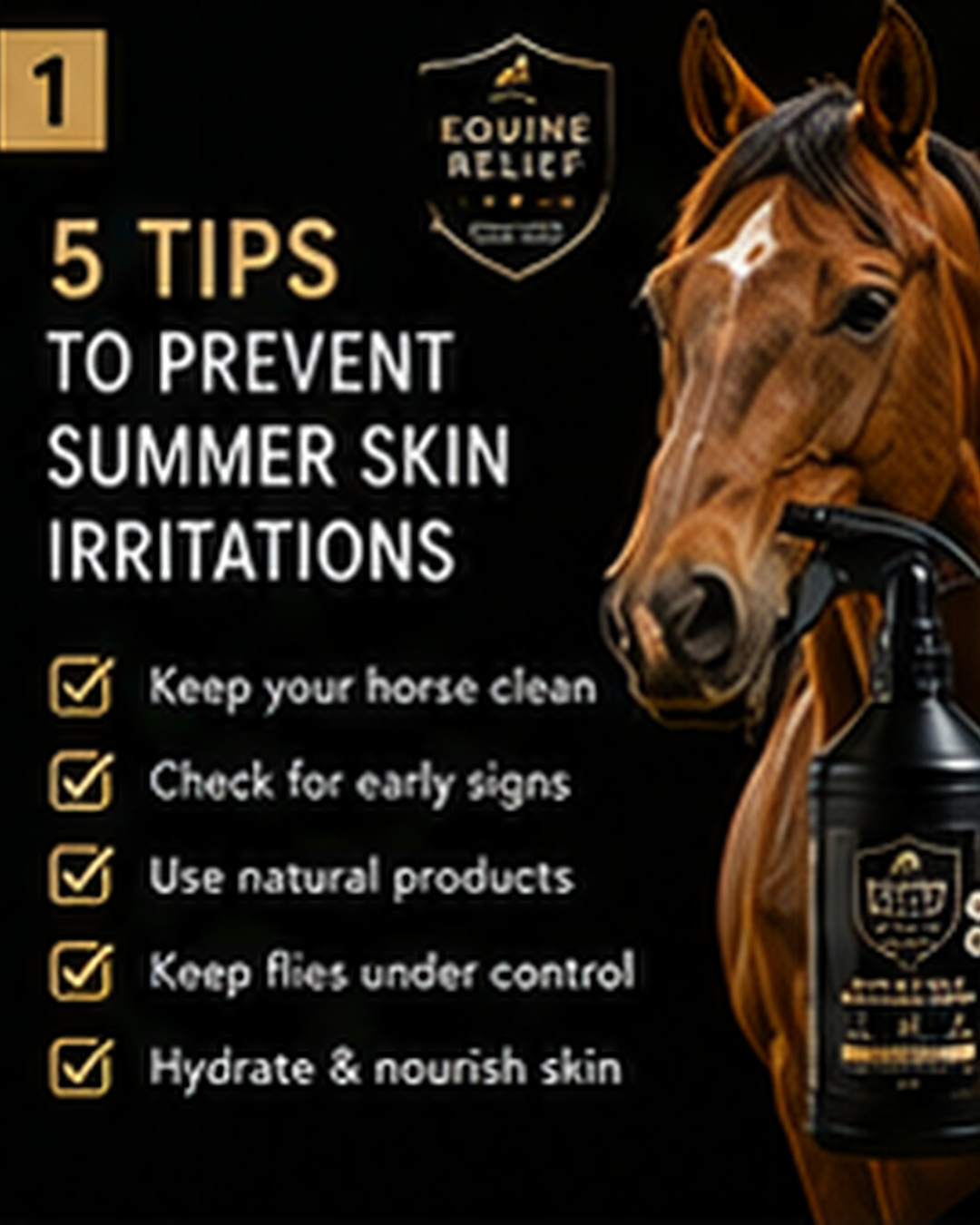 Equine Relief tips to prevent summer skin irritations in horses